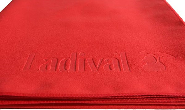 Obrázky: Červená mikrovláknová osuška MICRO 70 x 140 cm, Obrázek 5