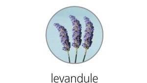 Obrázky: Lepicí lístky 102x74mm, 100ks, sv.modré, LEVANDULE