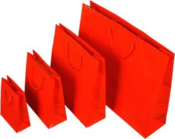 Obrázky: Papírová taška 16x8x25 cm text.šňůrky, lak červená