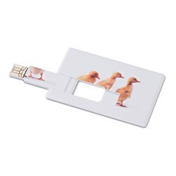 Obrázky: USB paměť ve tvaru kreditní karty 4 GB