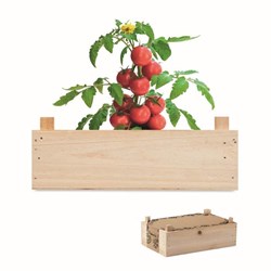 Obrázky: Sada pro pěstování rajčat v dřevěné přepravce
