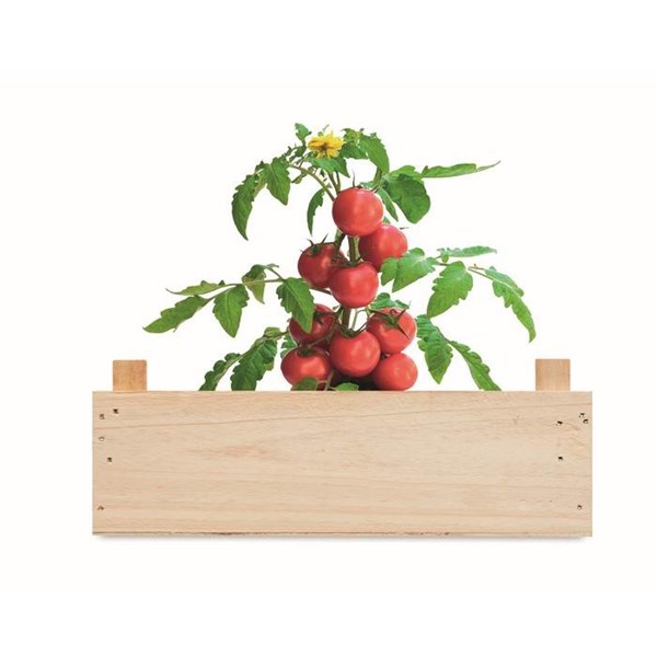 Obrázky: Sada pro pěstování rajčat v dřevěné přepravce, Obrázek 3