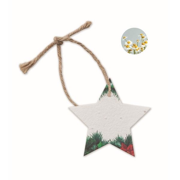 Obrázky: Vánoční baňka ze semínkového papíru, hvězda