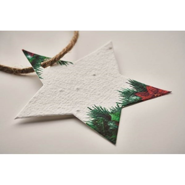 Obrázky: Vánoční baňka ze semínkového papíru, hvězda, Obrázek 3