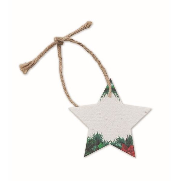 Obrázky: Vánoční baňka ze semínkového papíru, hvězda, Obrázek 4