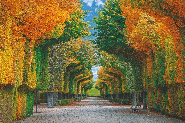 Obrázky: ALEJE, nástěnný kalendář 485x340 mm, Obrázek 4