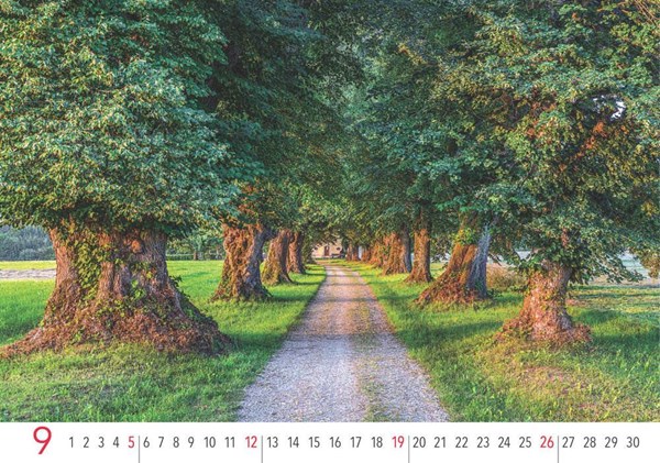 Obrázky: ALEJE, nástěnný kalendář 485x340 mm, Obrázek 13