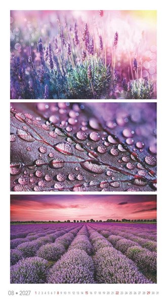 Obrázky: COLOURS, nástěnný kalendář 330x600 mm, Obrázek 12