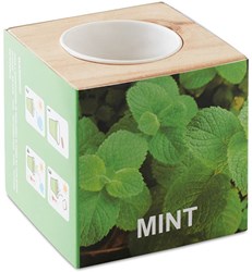 Zobrazit detaily pro Dřevěný truhlík na bylinky se semínky Obrázky: Dřevěný truhlík na bylinky se semínky