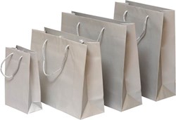 Zobrazit detaily pro Papírová taška 22x10x27,5 cm text.šňůrky, stříbrná-matný lak Obrázky: Papírová taška 22x10x27,5 cm text.šňůrky, stříbrná-matný lak