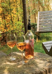 Zobrazit detaily pro Chladící tyčinka s dekantovací nálevkou Obrázky: Chladící tyčinka s dekantovací nálevkou